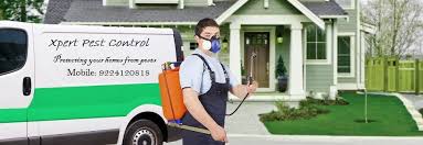 It's never a pleasant welcome for you or your guests to be greeted by bugs, cockroaches and other unwanted creatures in your house. Pest Control Services In Mumbai Best Pest Control In Mumbai
