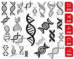 Dna Svg Molecule Svg Clone Svg Genetic Svg Gene Svg Etsy Dna Tattoo Dna Drawing Dna