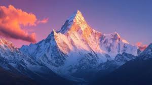 Image result for tbn:ThJbLJ9iWaHS_M::www.amrdiab.net/wallpapers/AmrDiab_Net_Kammel%2520(6).jpg