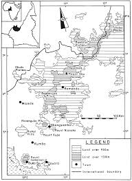 Image result for Cyperus tomaiophyllus