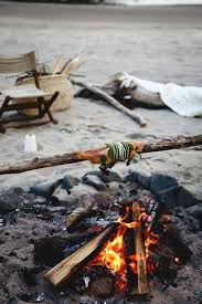 Follow the adventure of ash ketchum throughout his journey in the anime. Fire Roasted Trout With Lemon Herbs Citrus Rosemary Gin Cocktail The Oregon Coast Christiann Koepke Fire Cooking Fire Roasted Outdoor Food