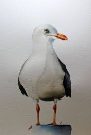 Watercolor Bird Painting Bird Art Original Watercolor Seagull Etsy Bird Art Watercolor Bird Birds Painting