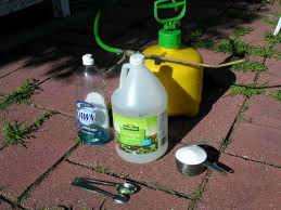 We did not find results for: Vinegar Weed Killer Big Blog Of Gardening