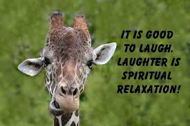 Giraffe Quote-1 by Rudy Umans - Royalty ...