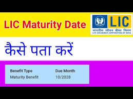 We did not find results for: How To Check Lic Maturity Date Online Apne Lic Ka Maturity Date Kaise Pata Karen Lic Maturity Youtube