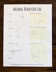 Animal Science Biology For Kids Animal Observation Log In 2020 Biology For Kids Animal Science Animals For Kids