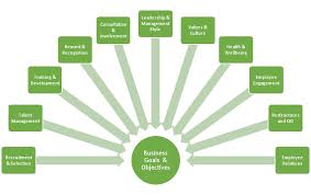 Your Strategic Hr Business Partner Walsh Hr
