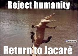 Primeiras doses da vacina astrazeneca estarão disponíveis em fevereiro. Alligator Vaccine Goes Brrrrrrrrrrrrr Memes