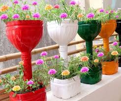 Learn about 18 types of ginger plants and their uses. 33 Great Balcony Garden Ideas With A Diy Balcony Guide