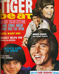 From the Tiger Beat Archives, February 1970 Jack Wild: Little Boy Lost, 49  Things That Turn Bobby Sherman ON AND OFF ABOUT GIRLS:, Michael Cole: A  Great Brother