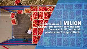 Con­du­cerea fondului decide stra­te­gia de investiţii pe termen mediu, însă cea mai. Casa Judeteana De Pensii Maramures Home Facebook