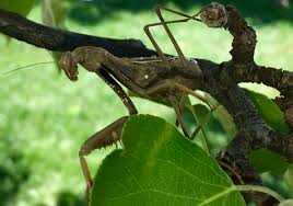 Pin By Todd King On My Own Photos Photo