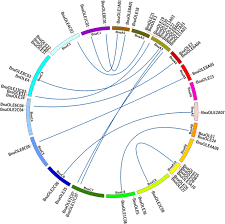 Nn nj langka aesthetic.nn rp yeoja aesthetic dan langka. Genome Wide Identification And Functional Analysis Of Oleosin Genes In Brassica Napus L Bmc Plant Biology Full Text