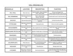 12 Best Biology Images In 2019 Biology Middle School