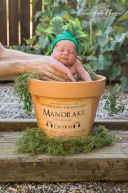 Harry Potter Themed Photoshoot With A Screeching Mandrake Baby Demilked