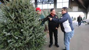 It's a spruce, with short needles. Christmas Tree 101 With Stew Leonard Jr