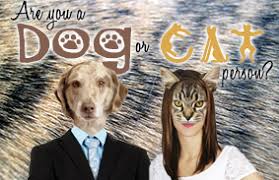 100 easy general knowledge quiz questions and answers random dog knowledge quiz answers. Are You A Dog Or Cat Person Brainfall