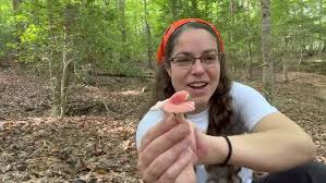 Image result for Russula perlactea