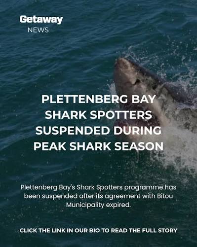 Plettenberg Bay's Shark Spotters programme has been suspended until further notice, with beachgoers urged to remain vigilant and follow lifeguard advice during peak shark season ?
