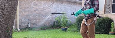 Of active ingredient per gallon. Dimension 2ew Herbicide Solutions Pest Lawn