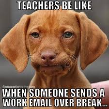 14 End Of The Year Memes That Any Teacher Will Understand Funny Dog Memes Funny Animal Pictures Funny Pictures