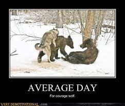 Average Day Very Demotivational Demotivational Posters Very Demotivational Funny Pictures Funny Posters Funny Meme