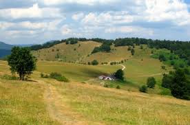 Ferme Auberge Du Belacker Moosch Haut Rhin Ferme Auberge Ferme Auberge Alsace Tourisme