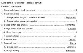 We did not find results for: Materi Ipa Kelas Vii Smp Kunci Determinasi