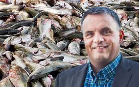 Fisk skaper stor verdi på Myre