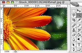 We did not find results for: Photoshop 101 The Magic Wand Tool George Ornbo