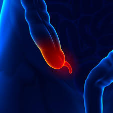 Tratamiento maternity trombosis hemorroidal externa. Hemorroides Externas Trombosadas Causas Sintomas Tratamiento Y Duracion