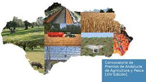 Agricultura en españa y andalucía. Convocados Los Premios De Andalucia De Agricultura Y Pesca