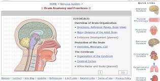 Another nice feature is that most of the quizzes are short, timed and focused only on the essentials. Learn Human Body Functions By Interactive Video Simulations Get Body Smart
