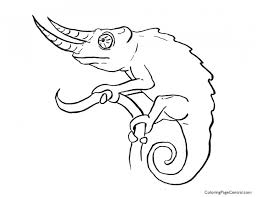 Print chameleon coloring pages and paint in the brightest colors. Chameleon Coloring Page Central