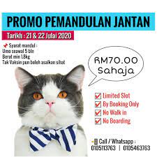 Kalau nak murah boleh buat di klinik/hospital veterinar kerajaan, rm20 pun boleh dapat. Special Promo Kembiri Kucing Murah Kl Selangor Facebook