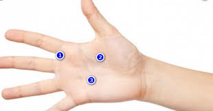 Telapak tangan gatal tentu sangat mengganggu, apalagi bila terus menerus terjadi. 99 Arti Telapak Tangan Kanan Gatal Menurut Primbon Filosofi Tangan Gatal