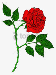 Tattoo designs to enlarge the meaning of flower tattoos back to tattoo. Free Png Red Rose Tattoo Transparent Png Image With Portable Network Graphics Transparent Png 480x644 Free Download On Nicepng