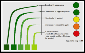 lcc colours are guiding for nitrogen application download