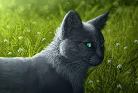 Firestar is my favourite character. Bluestar Warriors Amino