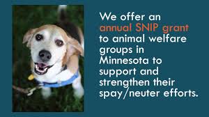 Maybe you would like to learn more about one of these? About Us Pet Haven Of Minnesota
