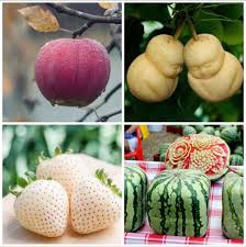 Most Expensive Fruits: ये है दुनिया के 7 सबसे महंगे फल, खरीदने में ढीली हो  जाएगी जेब । Most Expensive Fruits