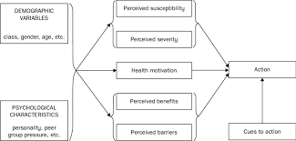 1 The Health Belief Model Download Scientific Diagram