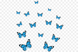 Monarch butterflies, make a friendly garden grow Monarch Butterfly Png Download 600 600 Free Transparent Country Music Png Download Cleanpng Kisspng