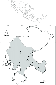Find local businesses, view maps and get driving directions in google maps. Map Of Zacatecas Indicating The Localities Where Specimens Of Some Download Scientific Diagram