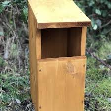 Image result for Flyte Blackbird Nest Box
