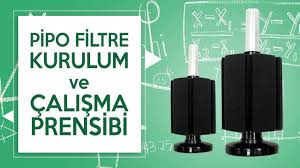 Kerimin Pet Dunyasi Sayfa 17 Akvaryum Dunyasi Beta Baligi Bitki Akvaryumlari Deniz Akvaryumlari Ile Ilgili Genel Egitici Ogretici Beta Baligi Beta Bitki