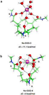 Keurig coffee maker water line hook up romance on a global stage: Ion Selectivity In The Selectivity Filters Of Acid Sensing Ion Channels Scientific Reports
