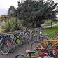 Halloween Park Pedal - Ward Park event image