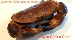 Disposez le tourteau vivant dans une marmite contenant 2 litres d'eau froide, 2. Comment Cuire Un Crabe Tourteau Cancer Pagurus How To Cook A Brown Crab Bretagne France Youtube