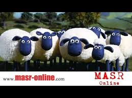 صوت الخروف ماء ماء ماااء للاطفال Youtube